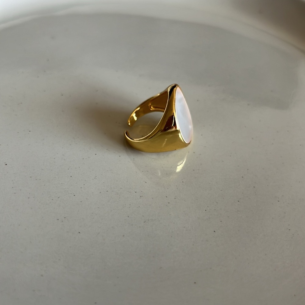 Adjustable Stainless Steel Ring - Picture 3 of 3